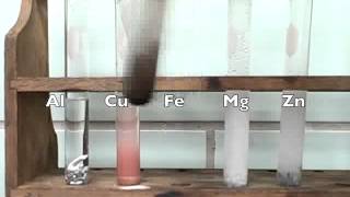 Reactivity of Metals Lab video [upl. by Coucher]