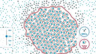 Applying the 20X Rule for Scoring CPS  A Precision Pathology Training Video [upl. by Aikan]