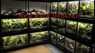 Custom Dart Frog Rack and 300 Gallon Mini Update [upl. by Zetroc]