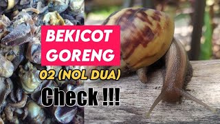 Bekicot gak halal⁉️ halal halalhero bisnishalal infohalal umkm bisnis bekicot [upl. by Redmund]