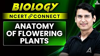 ANATOMY OF FLOWERING PLANTS CLASS 11  NEET 2025  BIOLOGY NCERT CONNECT SERIES  NEET BOTANY [upl. by Derman567]