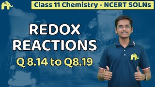 Redox Reactions Class 11 Chemistry  Chapter 8 Ncert Solutions Questions 1419 [upl. by Hepsiba]