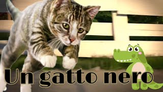 Volevo gatto nero in russo Imparare russo Canzoni per bambini 2019 [upl. by Atiana]