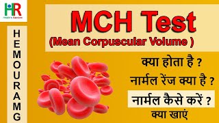 MCH blood test in hindi  MCH कम क्यों होता है  MCH नार्मल कैसे करें  MCH low के लिए क्या खाएं [upl. by Kcirdaed279]