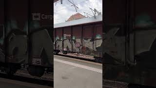 Romanian Freight Train Electric Locomotive and Boxcars [upl. by Kirimia]