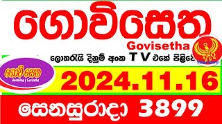 Govisetha 3899 20241116 Today nlb Lottery Result අද ගොවිසෙත දිනුම් ප්‍රතිඵල Lotherai dinum anka [upl. by Ahtiek478]