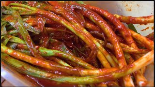 Green onions kimchi  low carb version [upl. by Adaran]