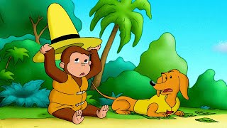 Curioso Come George ðŸµ La scimmia naufraga ðŸµCartoni per Bambini [upl. by Ittam56]