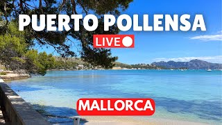 🔴LIVE in Puerto Pollensa Mallorca Majorca  15 June 2024 [upl. by Nashom305]