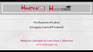 Mechanism of Labor in Occipito Lateral Position Flowchart [upl. by Harrus]