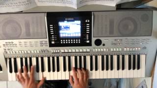 Afrojack Rock the House Keyboard Cover [upl. by Amsden172]