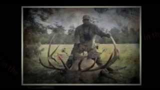 2013 Bull Elk Calendar with hunter Tim Stevens [upl. by Ateuqahs]