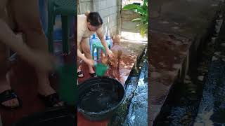 Done Ligo na hahaha fyp dog davaocity shortvideos [upl. by Decima]