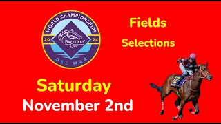 Breeders Cup Saturday 11224 Fields amp Selections  Full Card [upl. by Acenahs97]