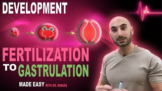 Introduction to Embryology  Fertilisation to Gastrulation Easy to Understand [upl. by Chin]