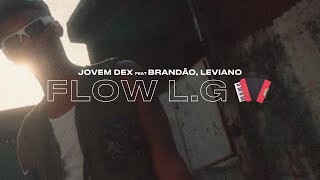 Jovemdex Brandão85 amp Leviano  FLOW LG 🪗 ÁudioVisualizer Oficial [upl. by Attennek]