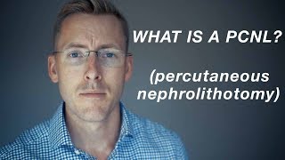 PCNL What is a percutaneous nephrolithotomy [upl. by Marrin]