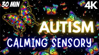 Autism Calming Sensory Music Tension Release Butterfly Visuals [upl. by Urbannal]