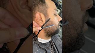 Pointed Beard Cut Styles adi beard skincare barber [upl. by Mann]