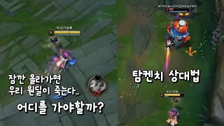 룰루서폿 실시간 움직임 시야 강의  탐켄치 상대법 [upl. by Ylrehs]