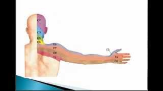 Examen y evaluacion de Sensibilidad y Dolor Semiologia [upl. by Laughton477]