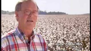 The Cotton War Part 1 of 6 [upl. by Eartha]