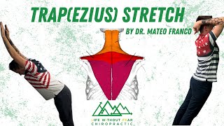 Trapezius Stretch [upl. by Trever]