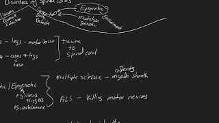 2210 ch13 pt5 Spinal Patho [upl. by Rhoda]