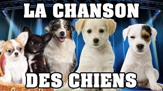 🐶 LA CHANSON DES CHIENS 🐶 [upl. by Jeremie140]