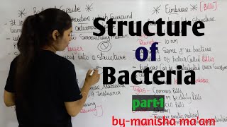 Structure of Bacteria  in hindi Bacteriology  By Manisha Maam  Microbiology [upl. by Bird426]