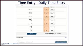 Time Entry for Providers [upl. by Thorman970]