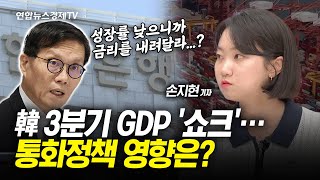 韓 3분기 GDP 성장률 쇼크…11월 인하 기대감 출현 손지현 연합인포맥스 기자ㅣ 경제ON 취재파일 241028 [upl. by Naneek]