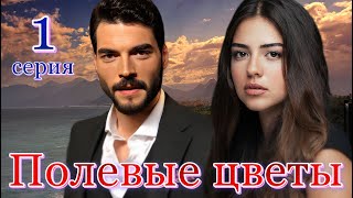 Полевые цветы 1 серия на русском языке Новый турецкий сериал с Акын Акынёзю и Аслыхан Мальбора [upl. by Cinderella]