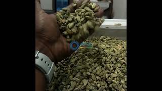 Cardamom Sorting Machine  Origin Color Sorter [upl. by Yborian]