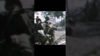 Sniper attack in Vietnam [upl. by Ahsinek446]