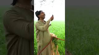 saleem and goga ki ladai comedy scenes 😂🤣viral trending shortsfeed shorts funny [upl. by Ennaxor67]