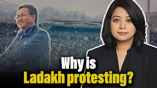 Why is Ladakh protesting  Faye DSouza [upl. by Asillam]