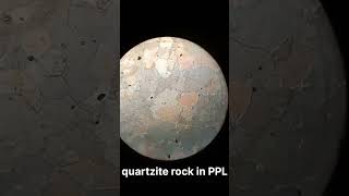 Quartzite thin sectiongeology rock microscope thin section minerlogy [upl. by Aitercul]