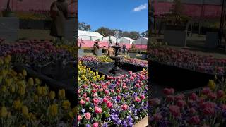 Floriade Spring Festival 2024 canberra [upl. by Hunter]