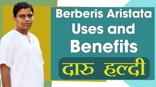 Berberis Aristata Uses and benefits दारु हल्दी  Acharya Balkrishna [upl. by Nimad]