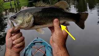 LUNKERHUNT TOPWATER COMBO REVIEW Do They Work [upl. by Assecnirp]