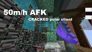 Polar Client CRACKED  AFK Mithril Macro HYPIXEL SKYBLOCK [upl. by Hairom]