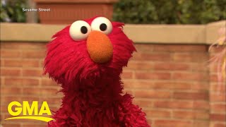 Elmo’s feud with a pet rock goes viral l GMA [upl. by Mcleod494]