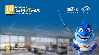 Desafio Bootcamp SharkIn ServiceNow [upl. by Anemix]