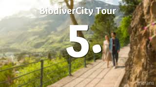 🇬🇧 517 GREEN GIANTS IN THE CITY  BiodiverCity Tour [upl. by Airotkiv]