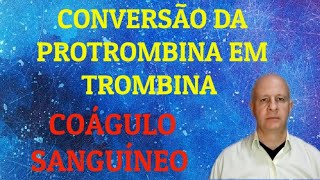 Conversão da protrombina em trombina Coagulação sanguínea [upl. by Avid]