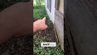 Shocking Foundation Damage Revealed You Wont Believe This [upl. by Sell]