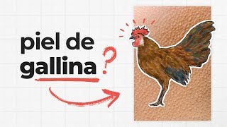 ¿Por qué se nos pone la piel de gallina [upl. by Noneek]