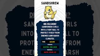 SANDSHREW Type Strength Weakness pokemon sandshrew [upl. by Aillimat]