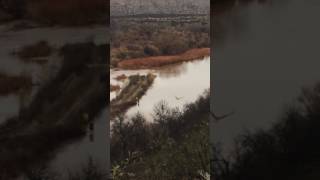 Dec 23 2016 Verde River Flood in Clarkdale [upl. by Vinia]